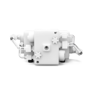 BSA15